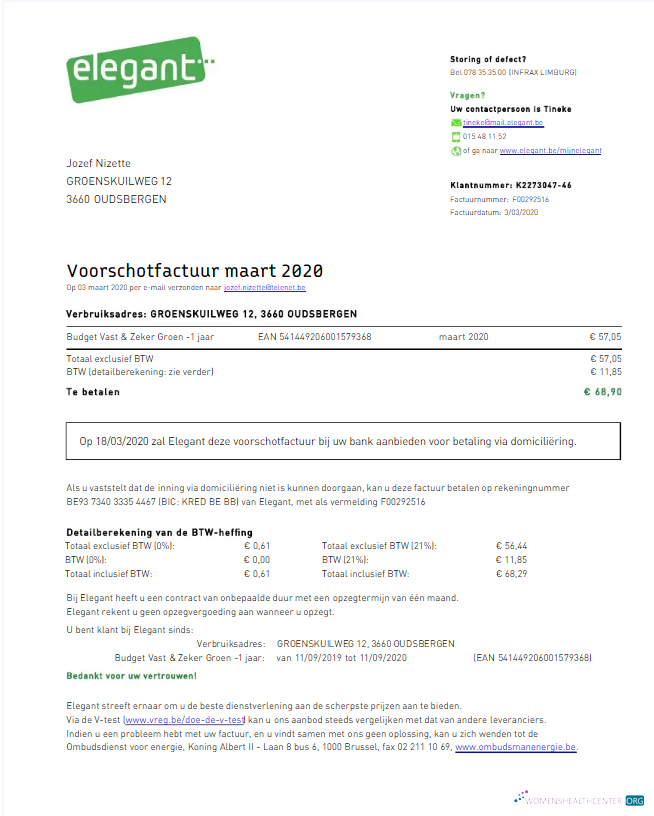 download download BELGIUM ELEGANT utility bill Word and PDF template PDF template PDF template